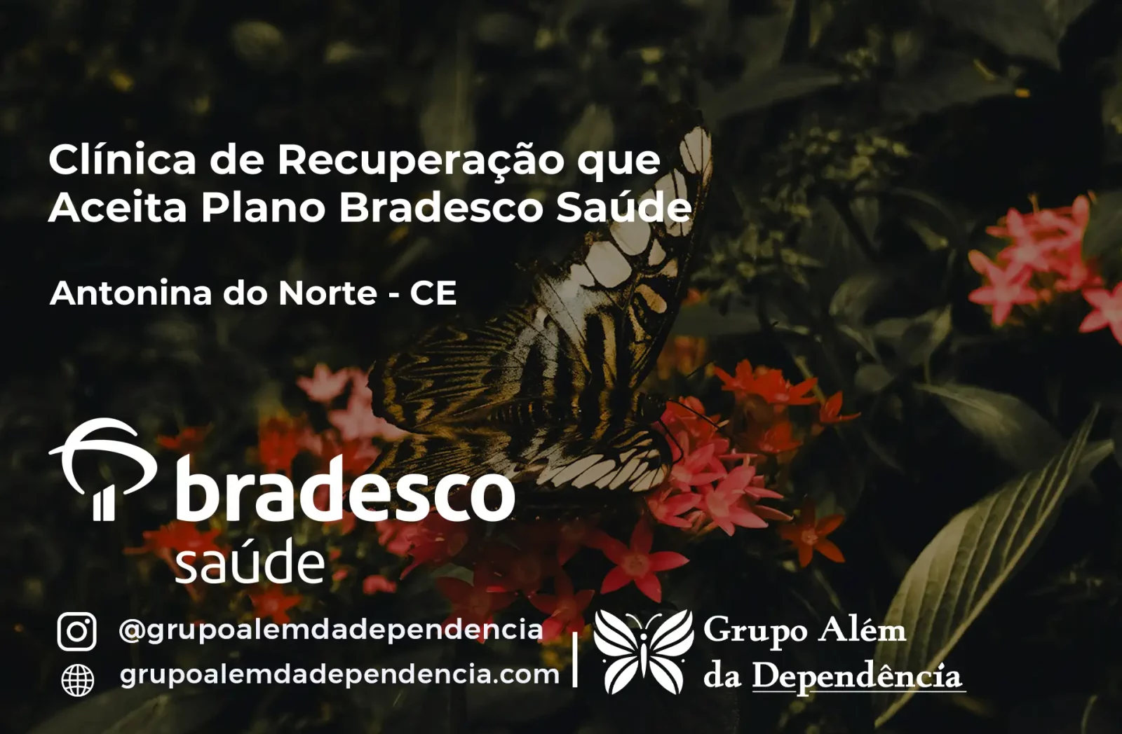 Clínica de Recuperação que Aceita Bradesco Saúde em Antonina do Norte - CE