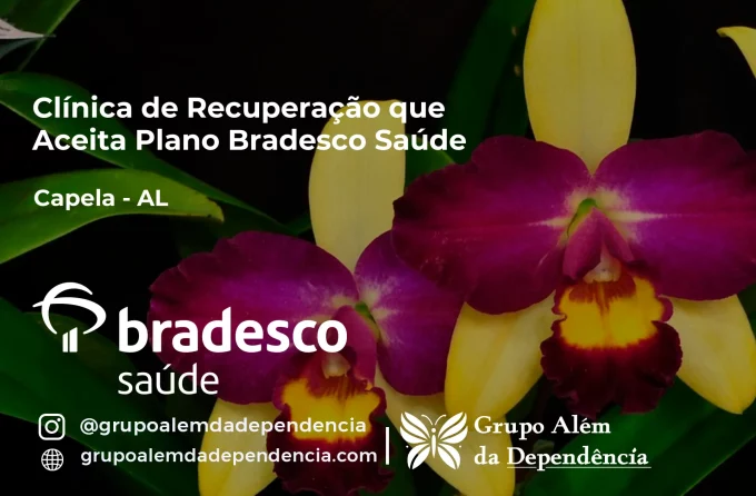 Clínica de Recuperação que Aceita Bradesco Saúde em Capela - AL