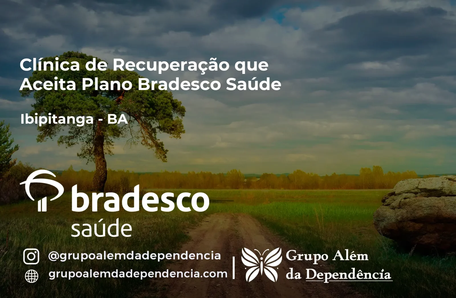Clínica de Recuperação que Aceita Bradesco Saúde em Ibipitanga - BA