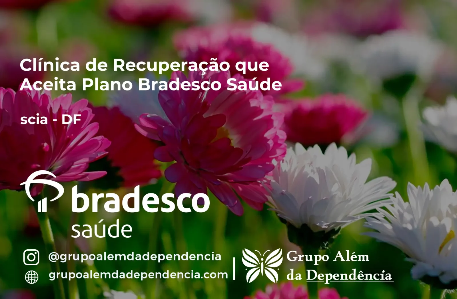 Clínica de Recuperação que Aceita Bradesco Saúde em scia - DF