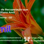 Clínica de Recuperação que Aceita Amil em Alto Horizonte - GO