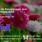 Clínica de Recuperação que Aceita Amil em Caraúbas do Piauí - PI