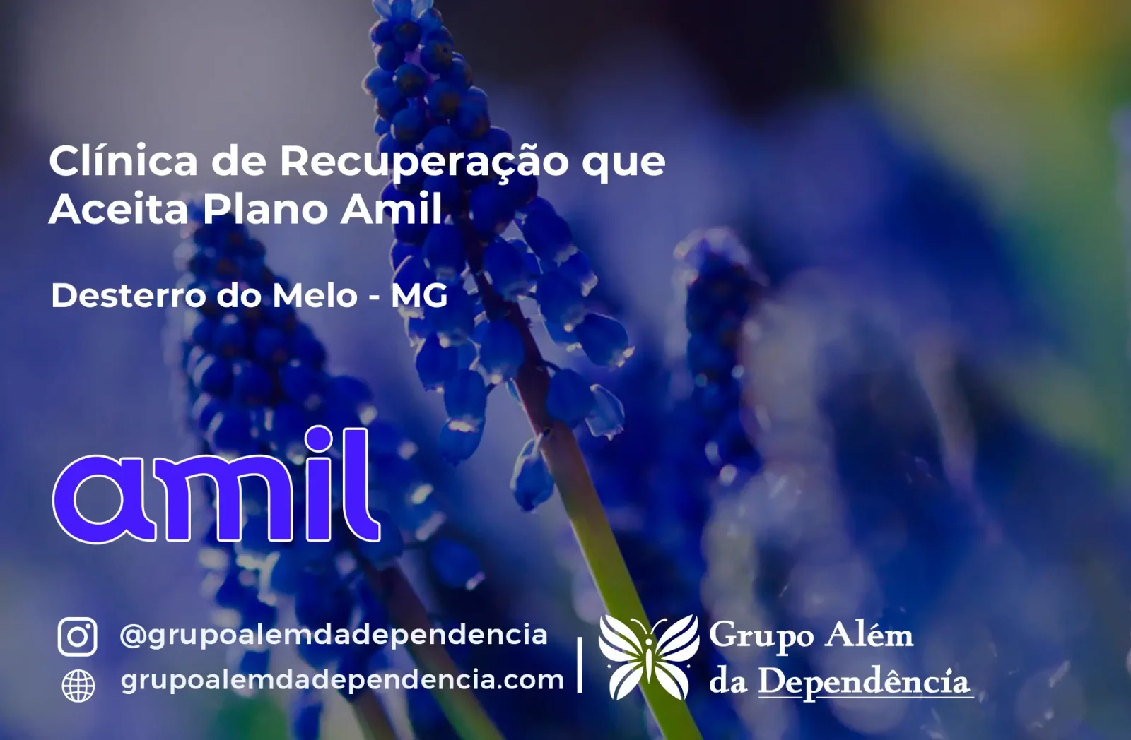 Clínica de Recuperação que Aceita Amil em Desterro do Melo - MG