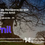 Clínica de Recuperação que Aceita Amil em Dirceu Arcoverde - PI