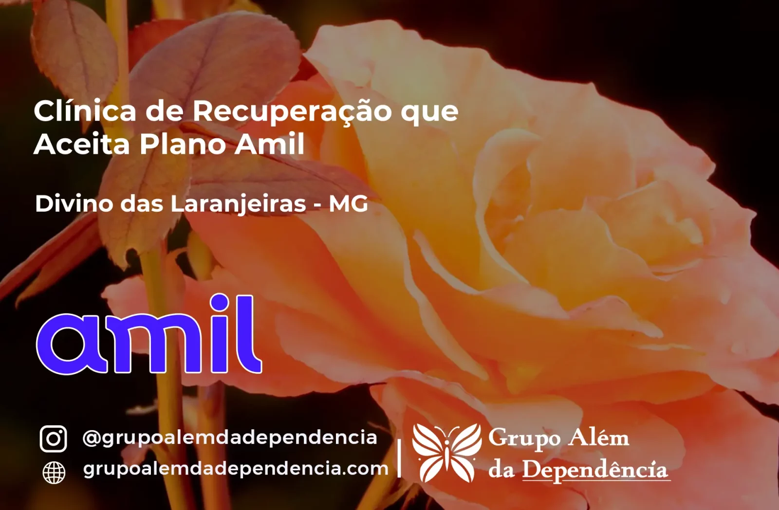 Clínica de Recuperação que Aceita Amil em Divino das Laranjeiras - MG