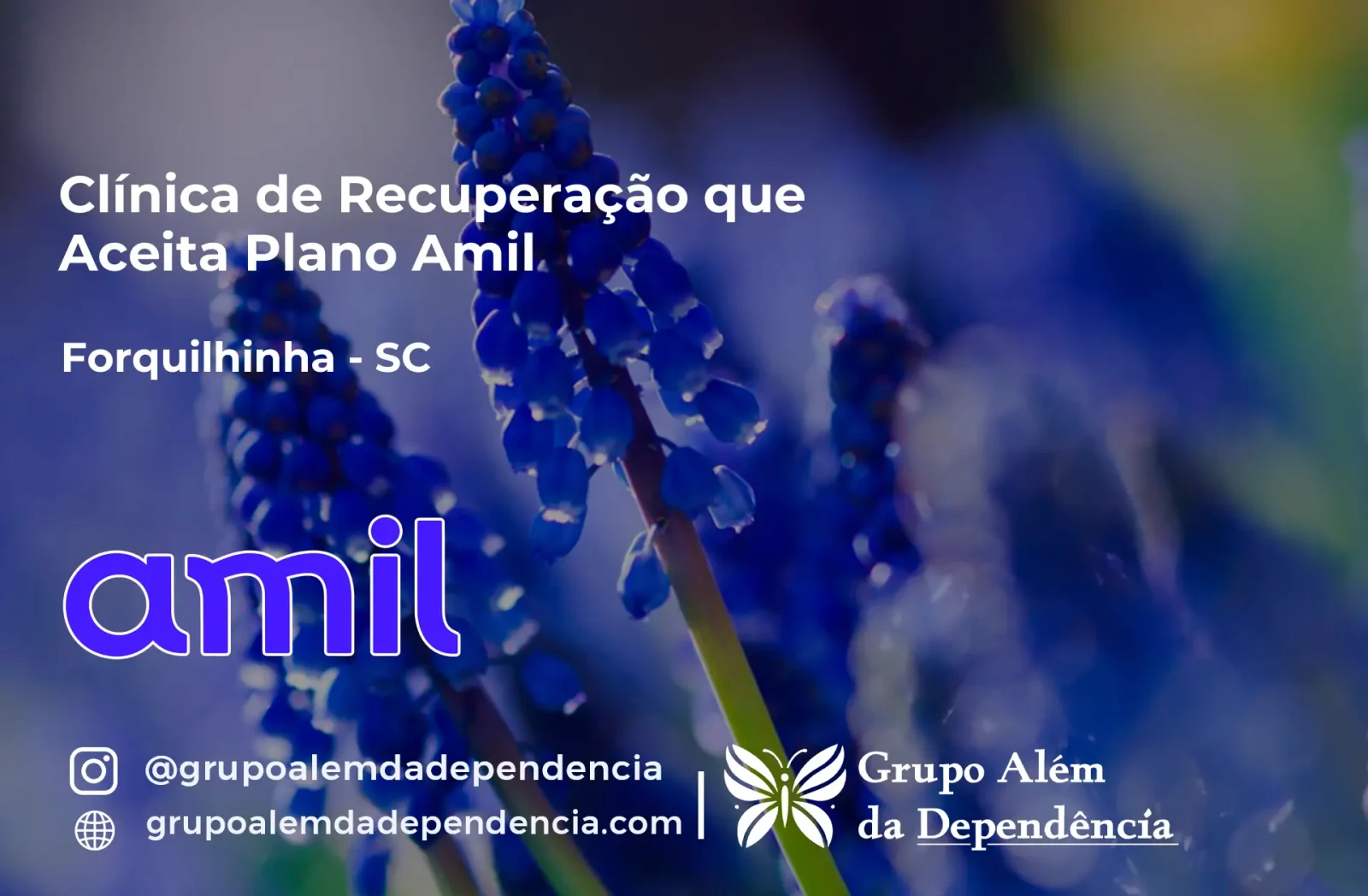 Clínica de Recuperação que Aceita Amil em Forquilhinha - SC
