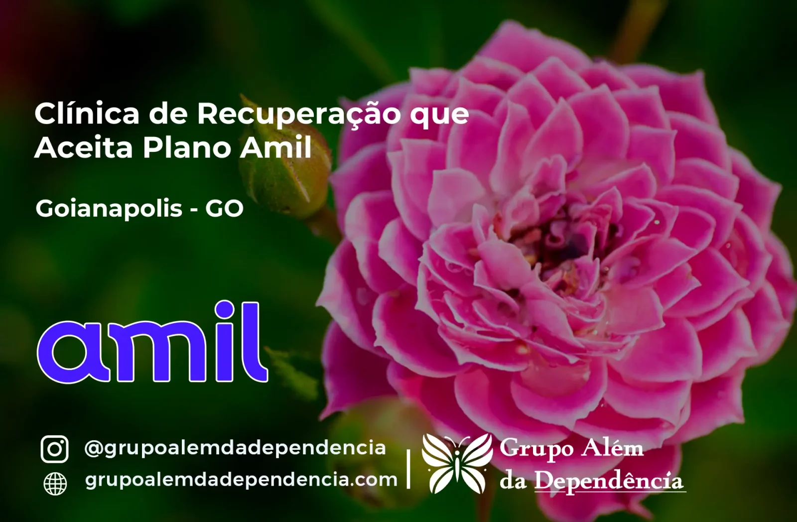 Clínica de Recuperação que Aceita Amil em Goianápolis - GO