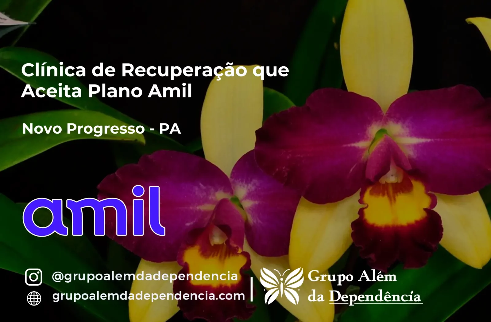 Clínica de Recuperação que Aceita Amil em Novo Progresso - PA