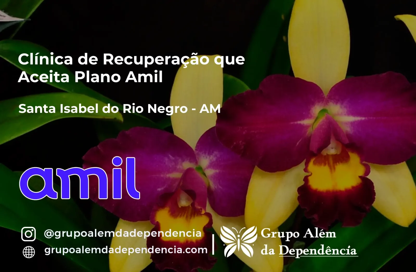 Clínica de Recuperação que Aceita Amil em Santa Isabel do Rio Negro - AM