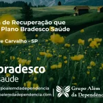 Clínica de Recuperação que Aceita Bradesco Saúde em Álvaro de Carvalho - SP