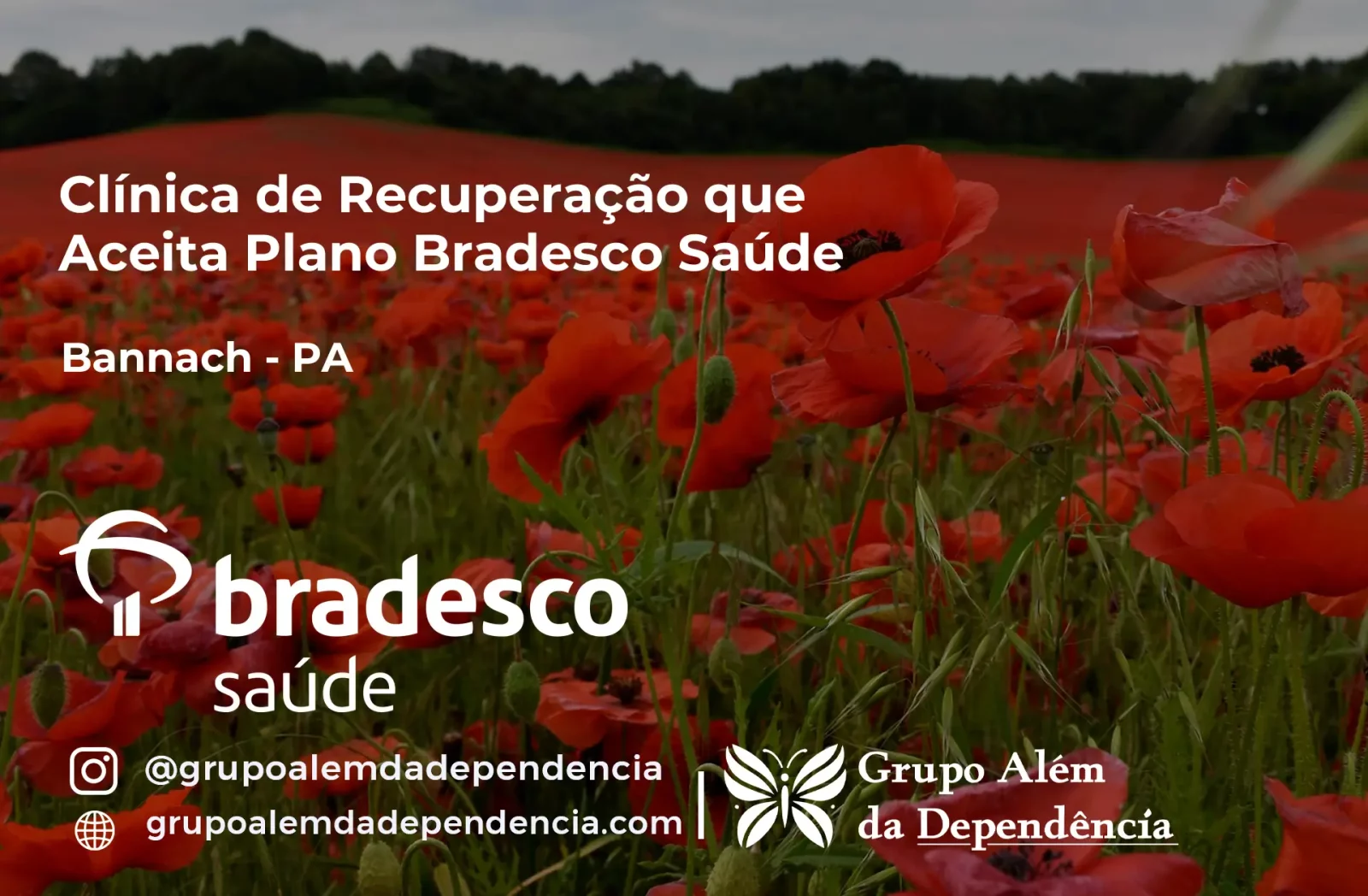 Clínica de Recuperação que Aceita Bradesco Saúde em Bannach - PA