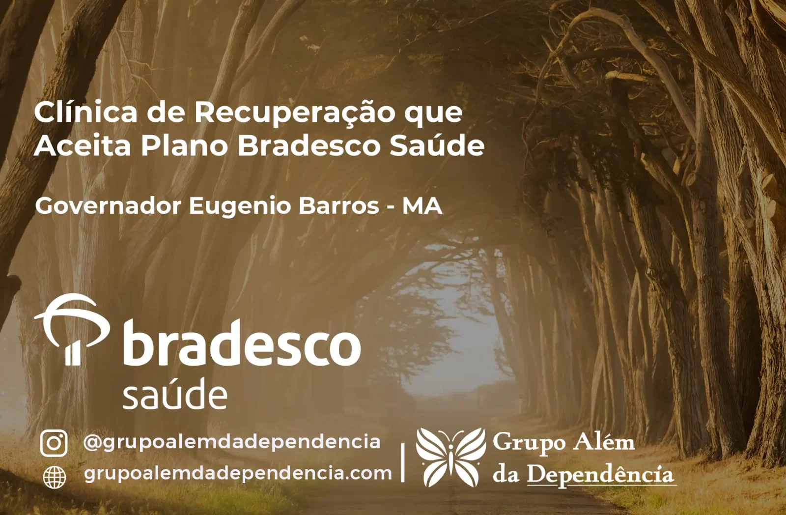 Clínica de Recuperação que Aceita Bradesco Saúde em Governador Eugênio Barros - MA