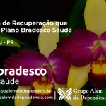 Clínica de Recuperação que Aceita Bradesco Saúde em Iguaraçu - PR