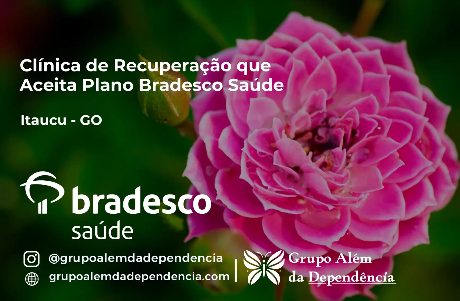 Clínica de Recuperação que Aceita Bradesco Saúde em Itauçu - GO