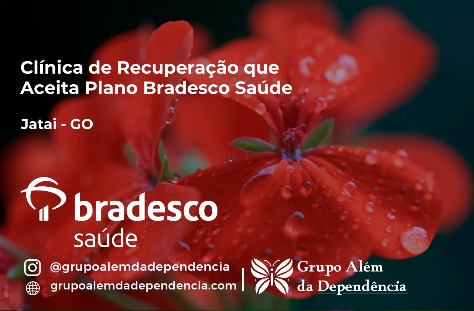 Clínica de Recuperação que Aceita Bradesco Saúde em Jataí - GO