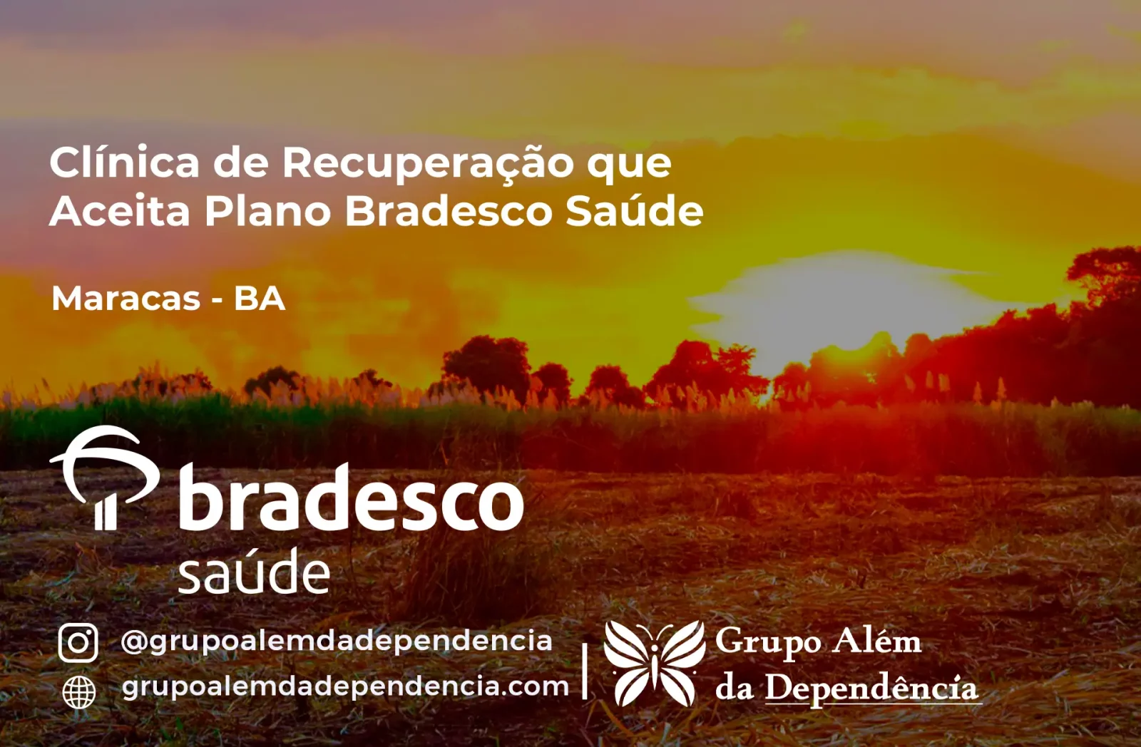 Clínica de Recuperação que Aceita Bradesco Saúde em Maracás - BA
