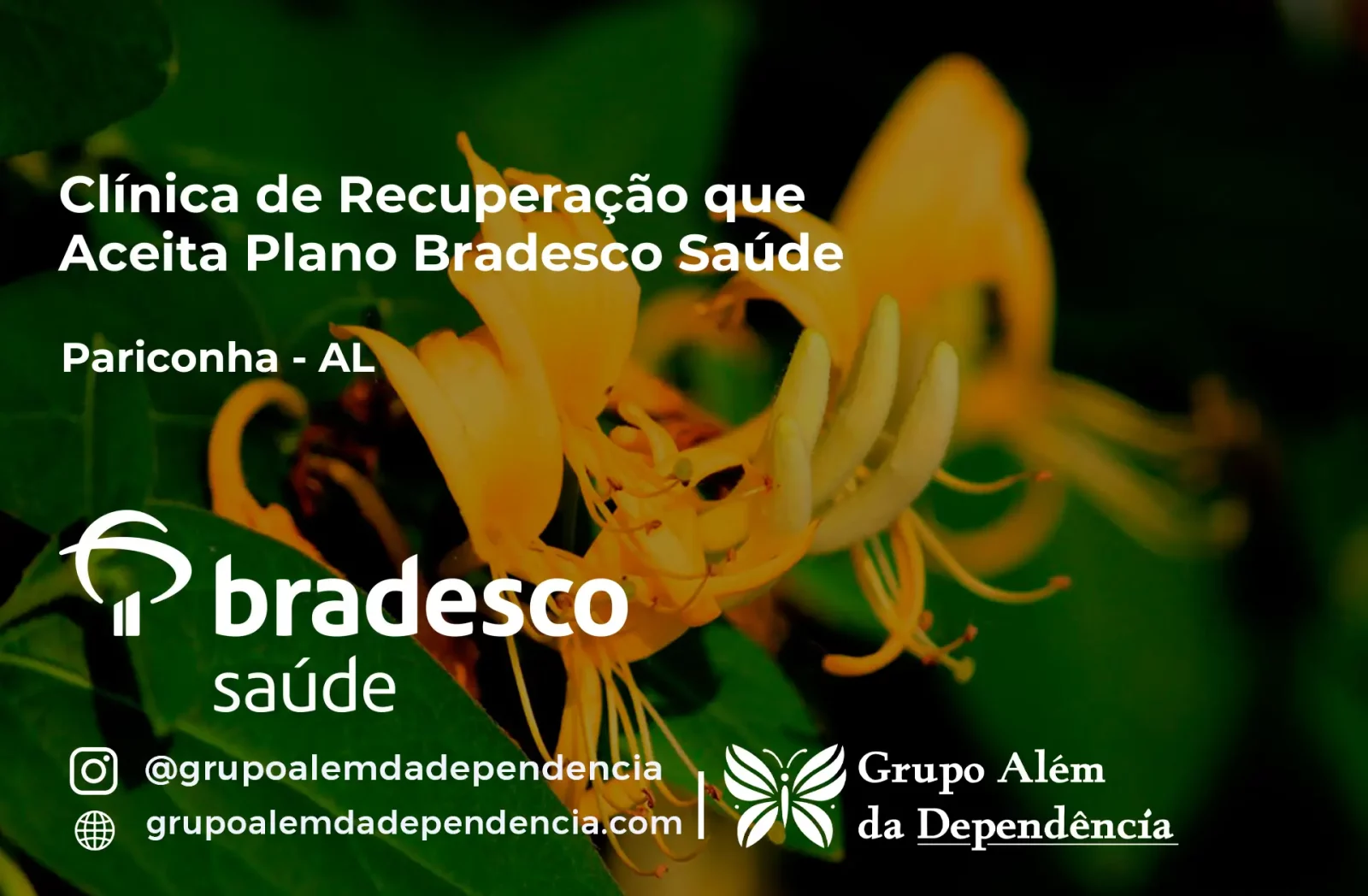 Clínica de Recuperação que Aceita Bradesco Saúde em Pariconha - AL