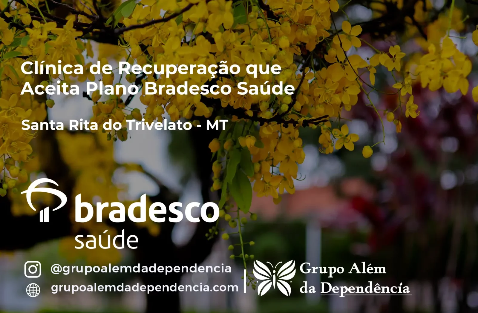 Clínica de Recuperação que Aceita Bradesco Saúde em Santa Rita do Trivelato - MT