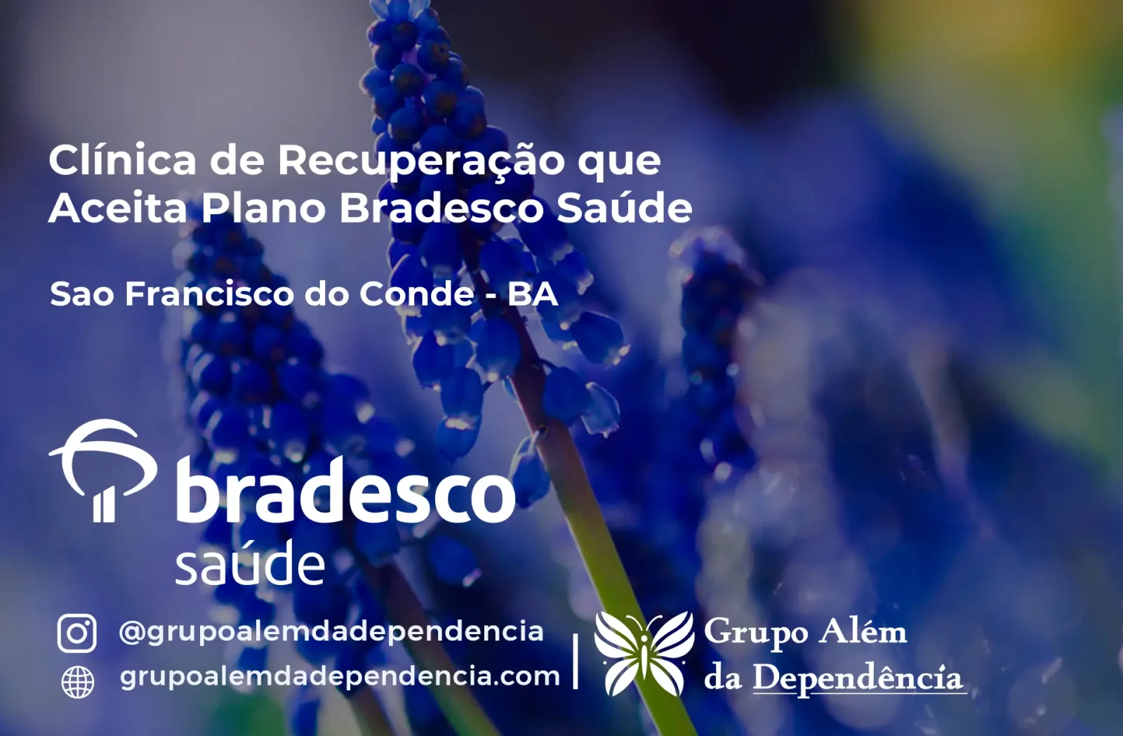 Clínica de Recuperação que Aceita Bradesco Saúde em São Francisco do Conde - BA