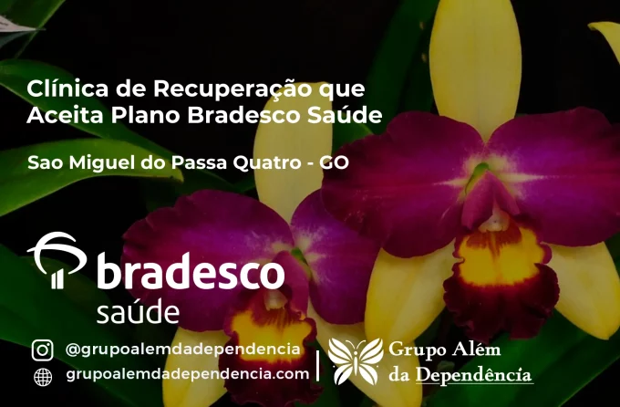 Clínica de Recuperação que Aceita Bradesco Saúde em São Miguel do Passa Quatro - GO
