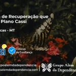 Clínica de Recuperação que Aceita CASSI em Alto Garças -MT