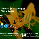 Clínica de Recuperação que Aceita CASSI em Bacuri -MA