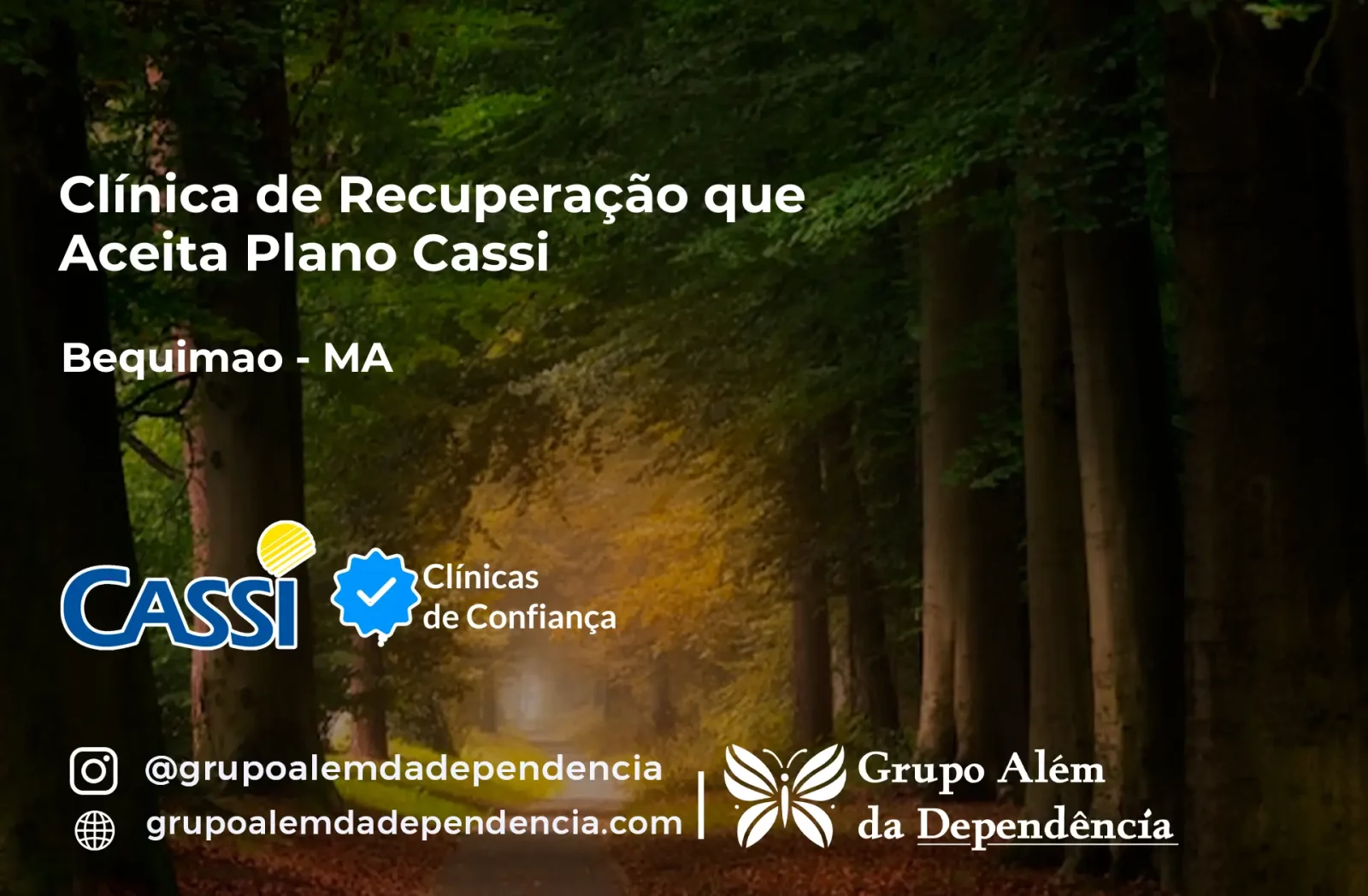 Clínica de Recuperação que Aceita CASSI em Bequimão -MA