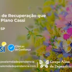 Clínica de Recuperação que Aceita CASSI em Birigui -SP