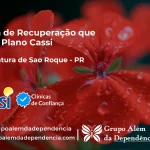 Clínica de Recuperação que Aceita CASSI em Boa Ventura de São Roque -PR