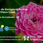 Clínica de Recuperação que Aceita CASSI em Boa Vista do Cadeado -RS