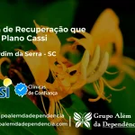 Clínica de Recuperação que Aceita CASSI em Bom Jardim da Serra -SC