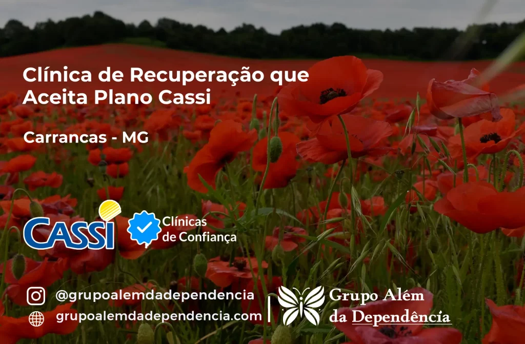 Clínica de Recuperação que Aceita CASSI em Carrancas -MG 1 Clínica de Recuperação que Aceita CASSI em Carrancas -MG