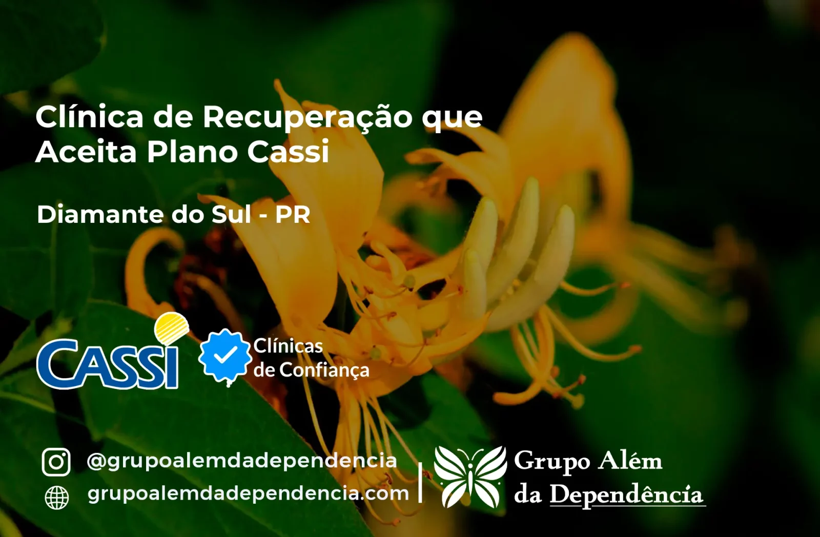 Clínica de Recuperação que Aceita CASSI em Diamante do Sul -PR