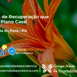 Clínica de Recuperação que Aceita CASSI em Goianésia do Pará -PA