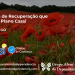 Clínica de Recuperação que Aceita CASSI em Guapó -GO