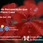 Clínica de Recuperação que Aceita CASSI em Jundiaí do Sul -PR