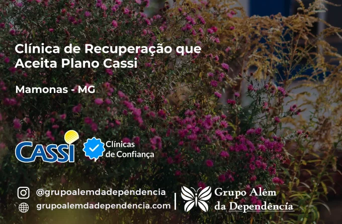 Clínica de Recuperação que Aceita CASSI em Mamonas -MG