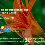 Clínica de Recuperação que Aceita CASSI em Nova Esperança -PR