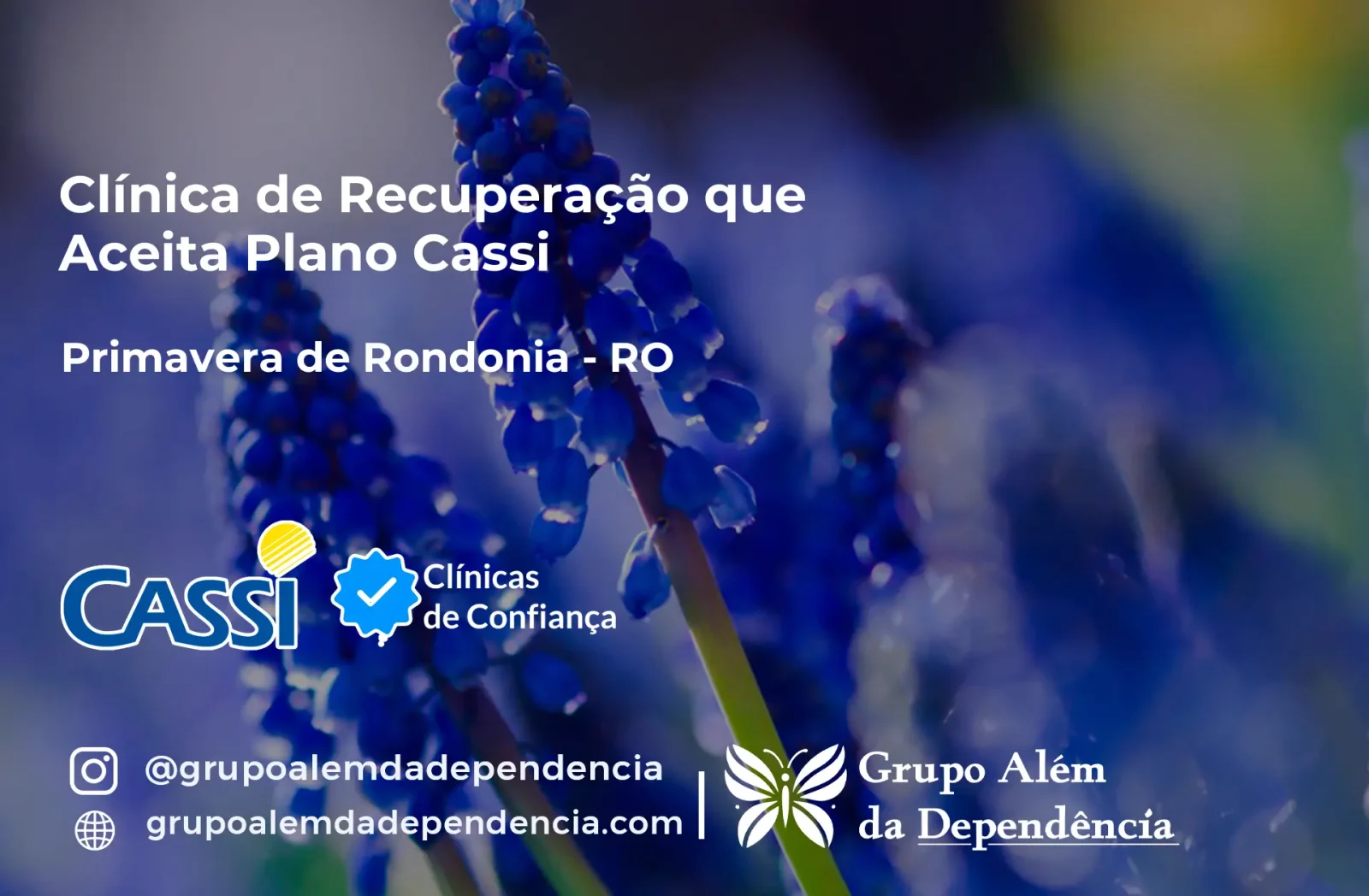 Clínica de Recuperação que Aceita CASSI em Primavera de Rondônia -RO