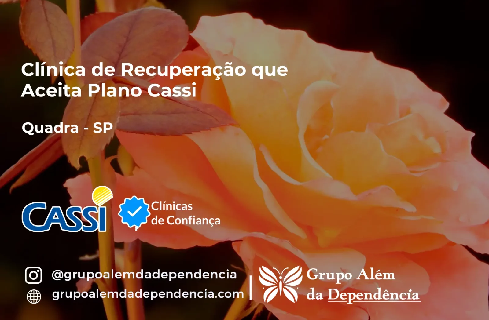 Clínica de Recuperação que Aceita CASSI em Quadra -SP