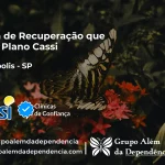 Clínica de Recuperação que Aceita CASSI em Reginópolis -SP