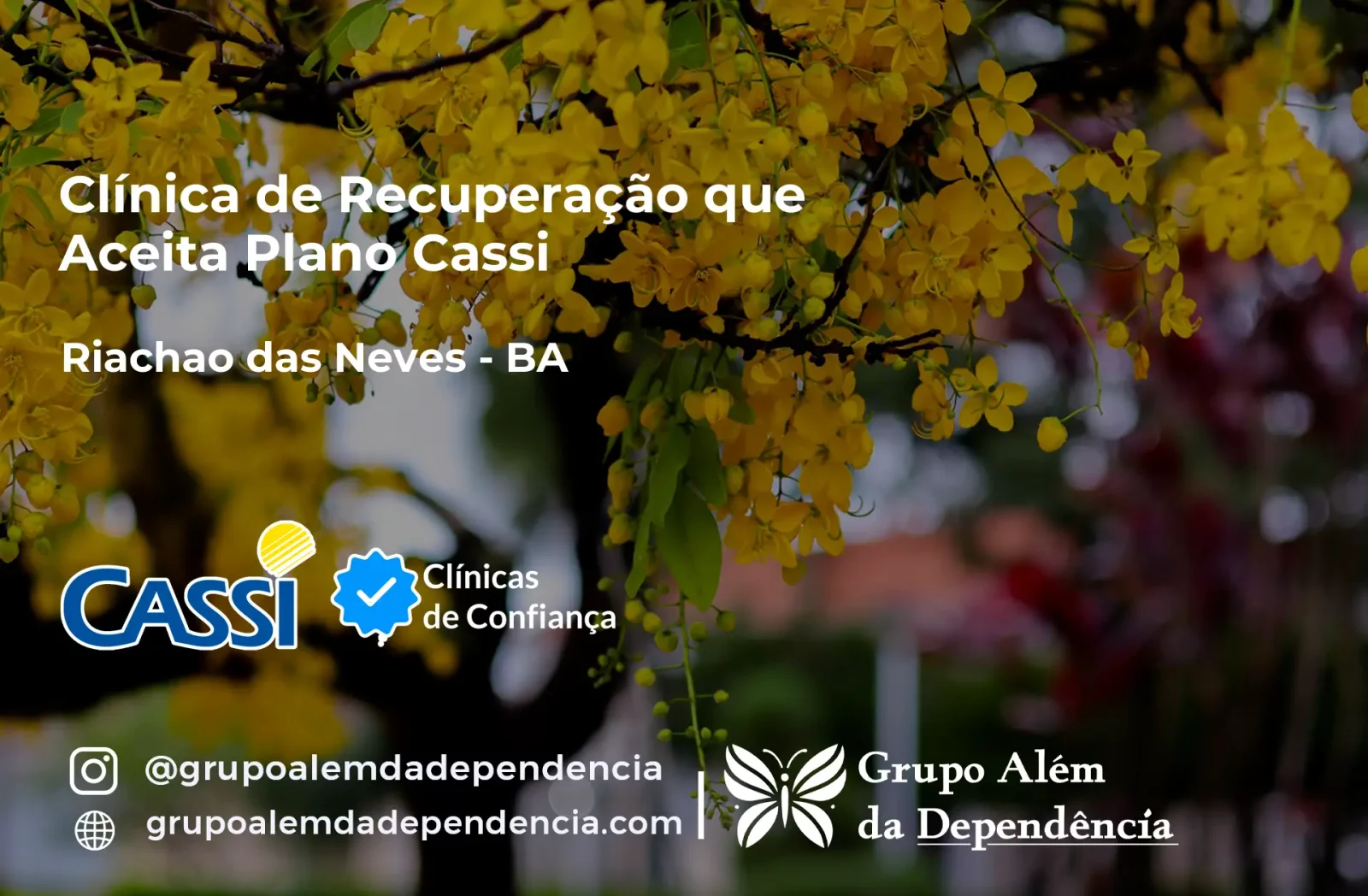 Clínica de Recuperação que Aceita CASSI em Riachão das Neves -BA