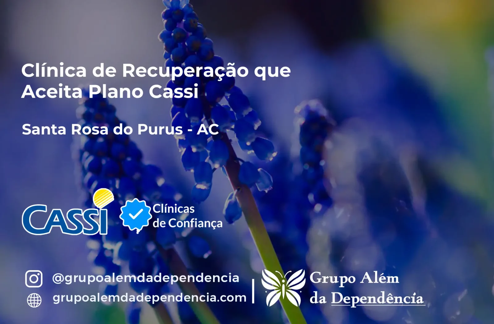 Clínica de Recuperação que Aceita CASSI em Santa Rosa do Purus -AC