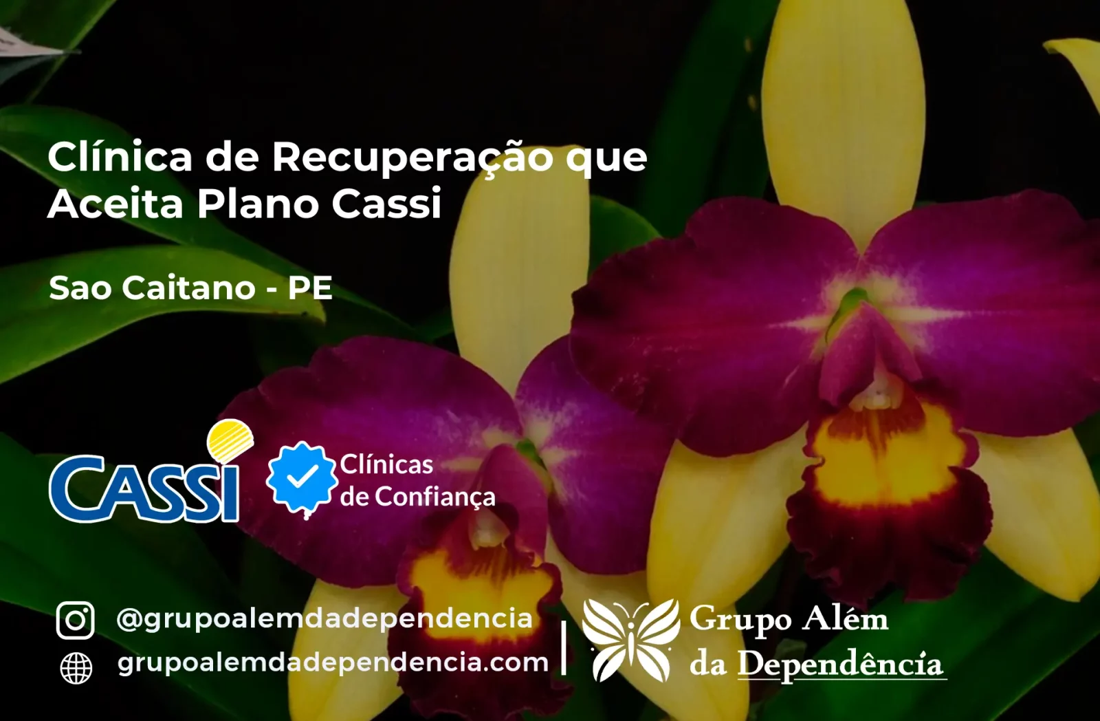 Clínica de Recuperação que Aceita CASSI em São Caitano -PE