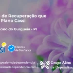 Clínica de Recuperação que Aceita CASSI em São Gonçalo do Gurguéia -PI