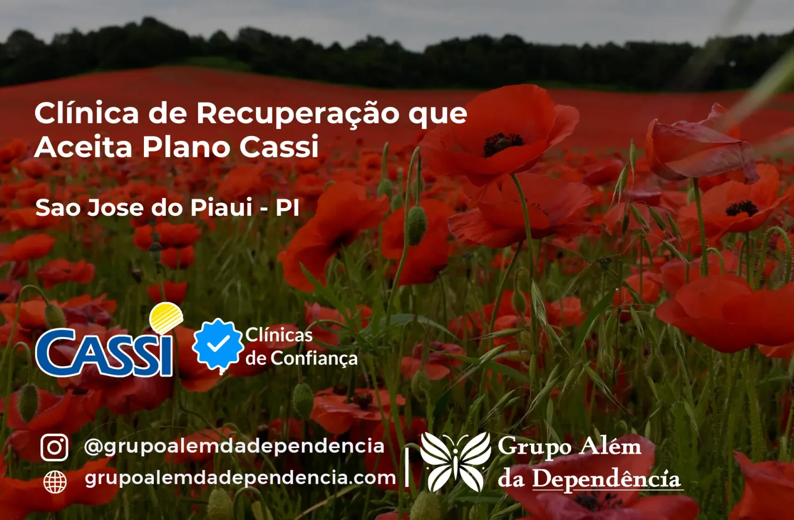 Clínica de Recuperação que Aceita CASSI em São José do Piauí -PI