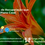Clínica de Recuperação que Aceita CASSI em scia -DF