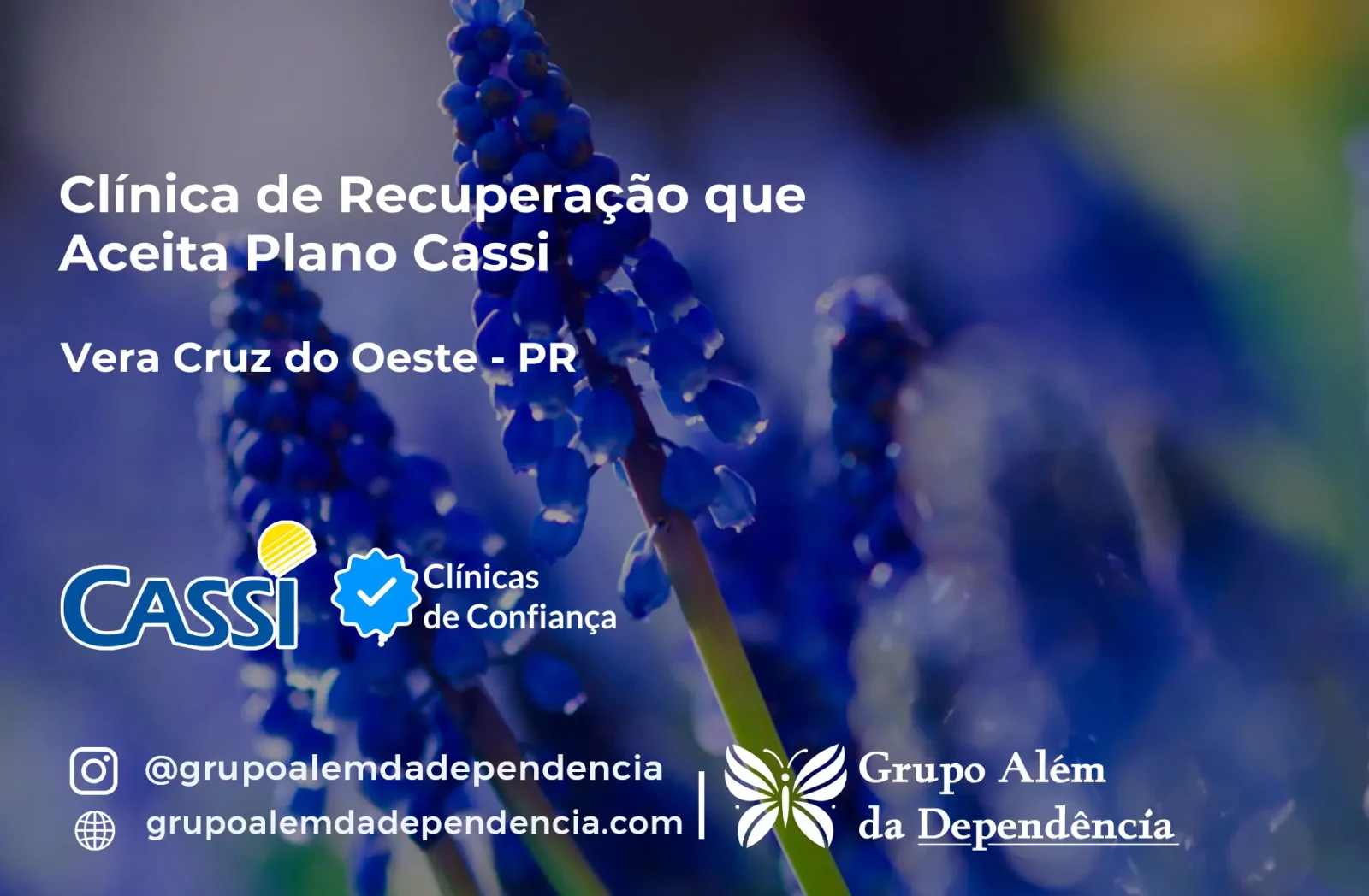 Clínica de Recuperação que Aceita CASSI em Vera Cruz do Oeste -PR