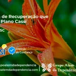 Clínica de Recuperação que Aceita CASSI em Xaxim -SC