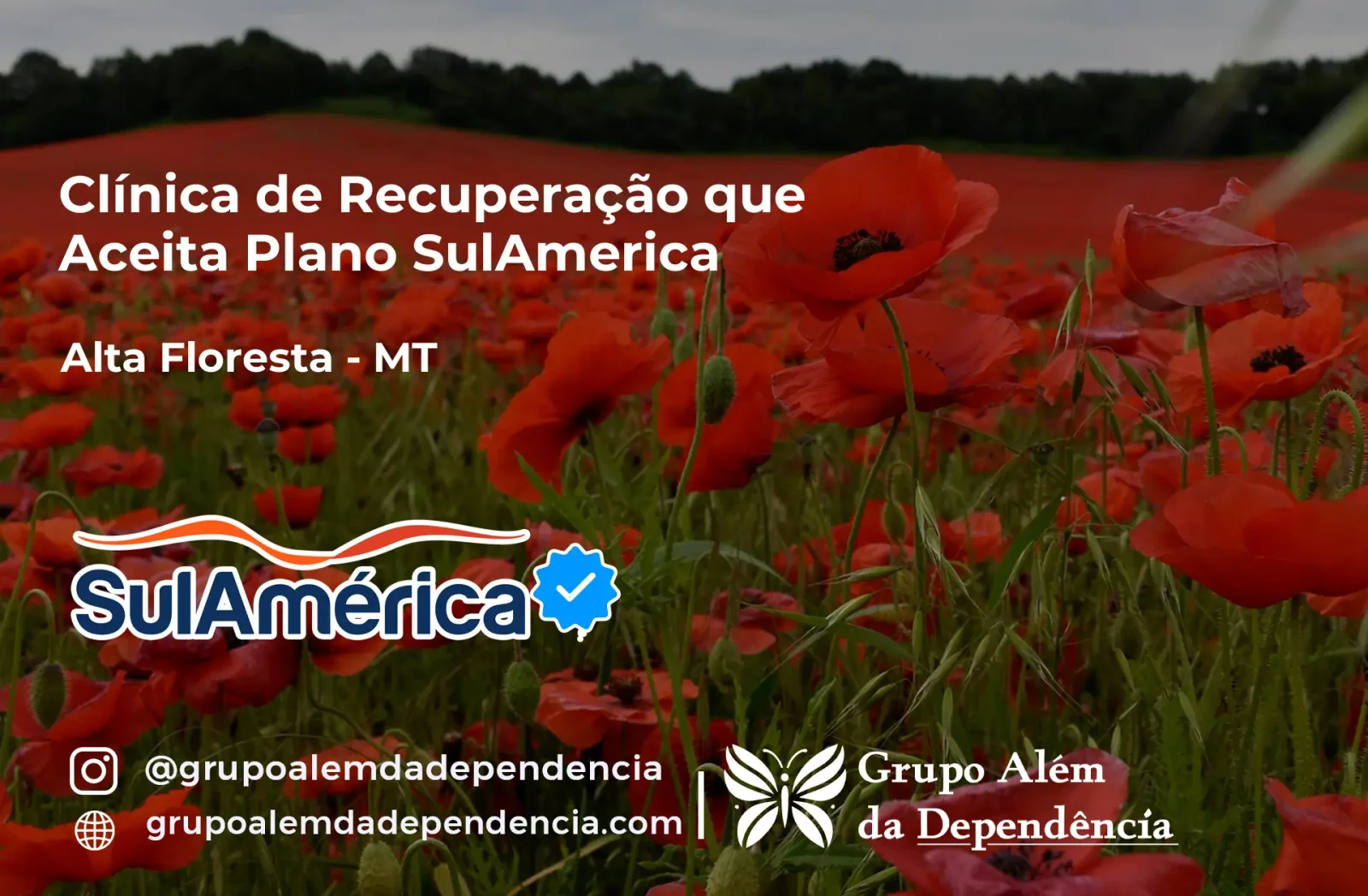 Clínica de Recuperação que Aceita SulAmérica em Alta Floresta -MT